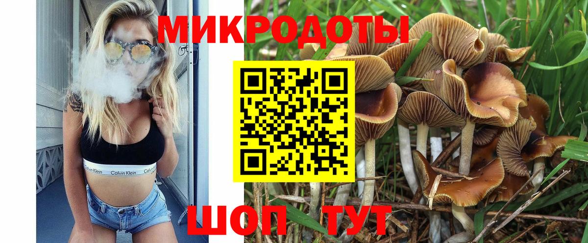 Галлюциногенные грибы GOLDEN TEACHER Вятские Поляны