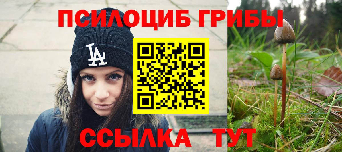 Псилоцибиновые грибы Psilocybine cubensis  Вход с VPN  Вятские Поляны  Псилоцибиновые грибы Cubensis 